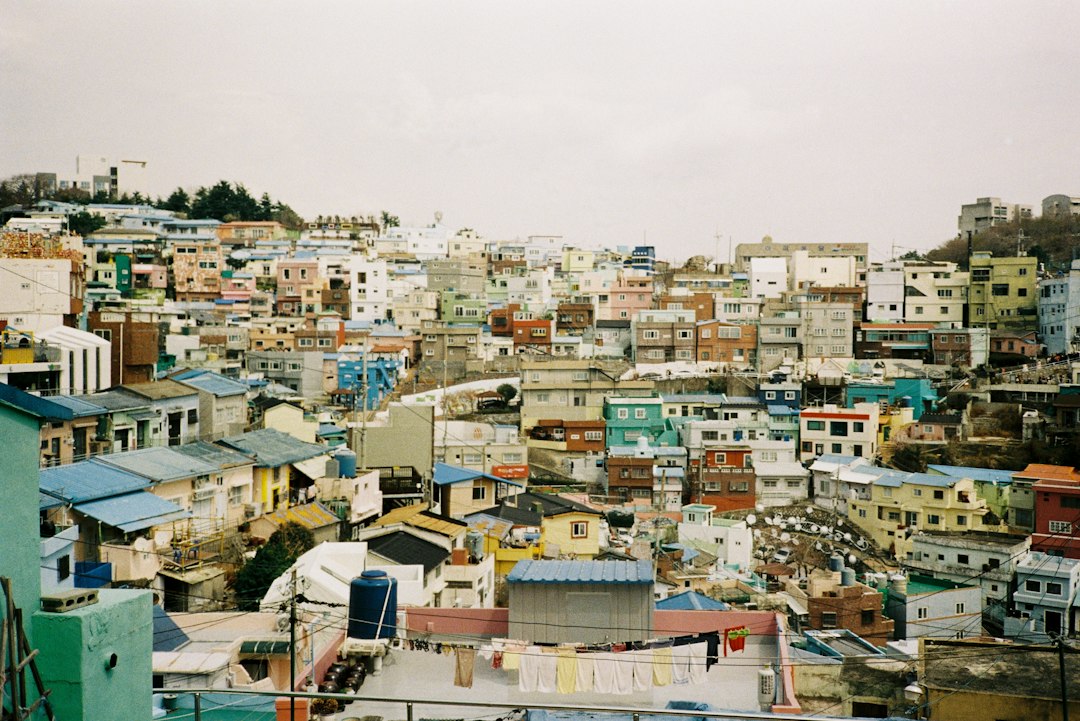 미술과외 참고 이미지 2