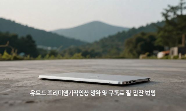 유튜브프리미엄가격인상 관련 이미지 - 유튜브프리미엄가격인상 정보 및 구독료 절약 방법 정리