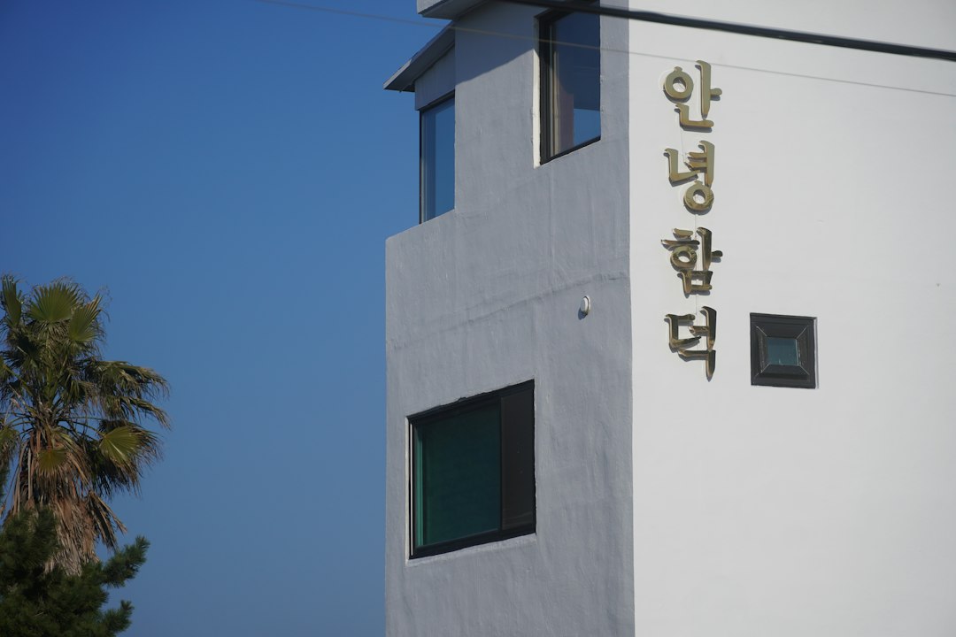 대구성인취미미술 참고 이미지 2