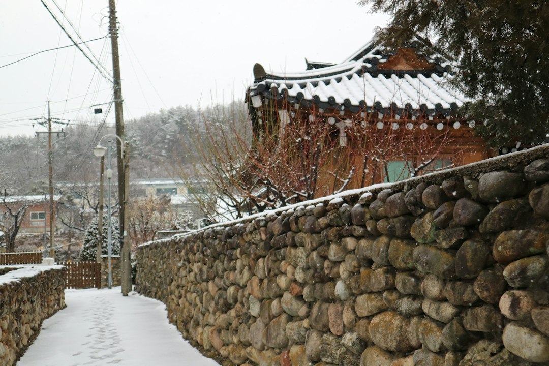 겨울취미 참고 이미지 2